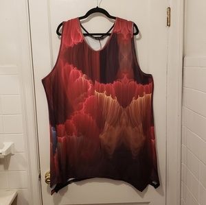 Gorgeous rust tunic by Lily 4X